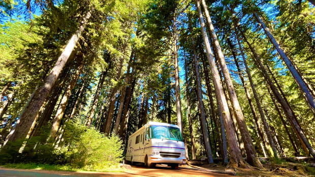 Mira The RV in the Forest