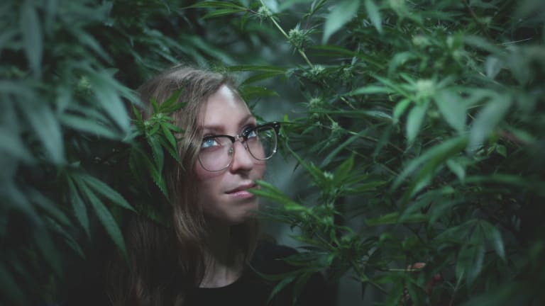 Weedsday Playlist: AlpinStash Cultivator Emily Sloat Shares 5 Songs for Your Next Smoke Sesh