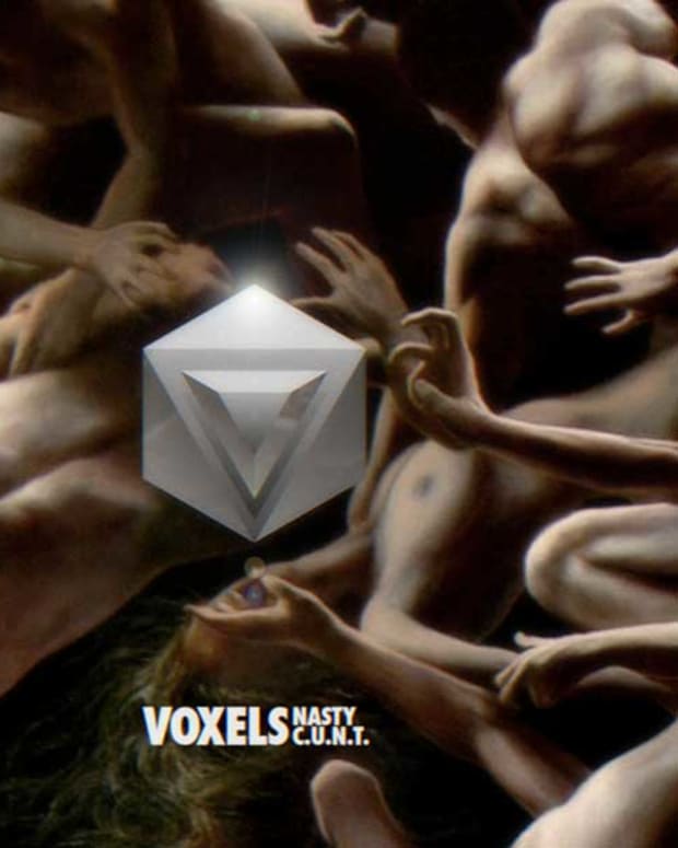 voxels