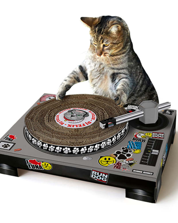 The DJ Cat Scratching Pad - EDM Culture