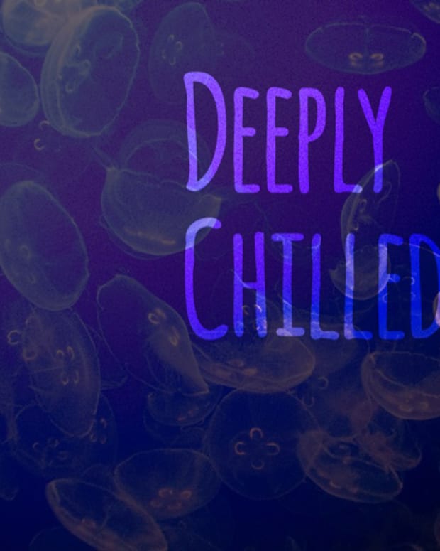 Magnetic Podcast: Deeply Chilled (Deep Melodic House Music) - EDM Download