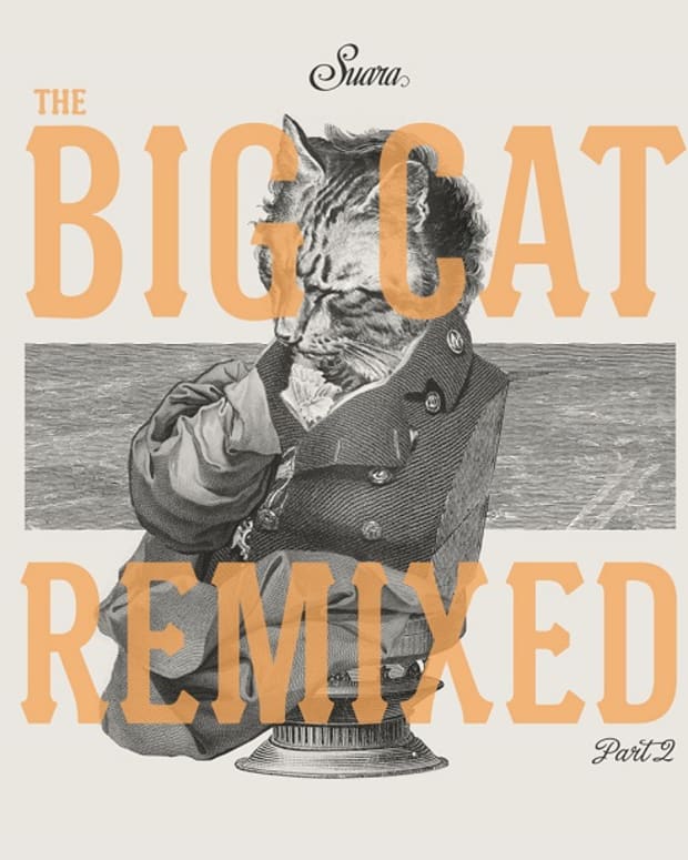 Exclusive Premiere: Coyu - The Big Cat Remixed Part 2