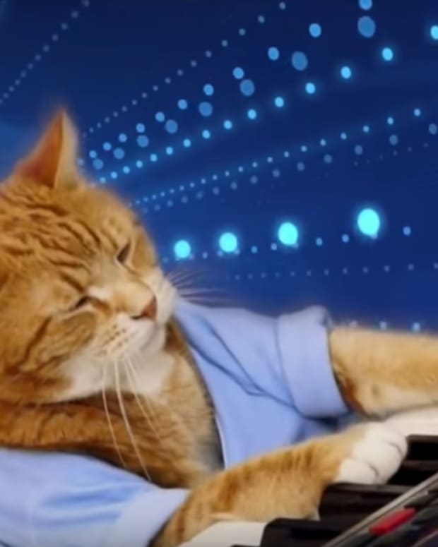 Bento Keyboard Cat
