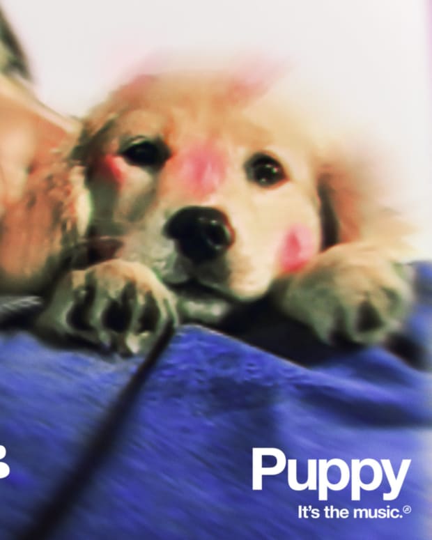 Doss Puppy Cover Art