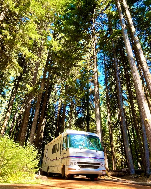 Mira The RV in the Forest