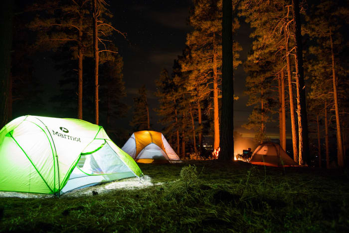 Camping Tent Forest