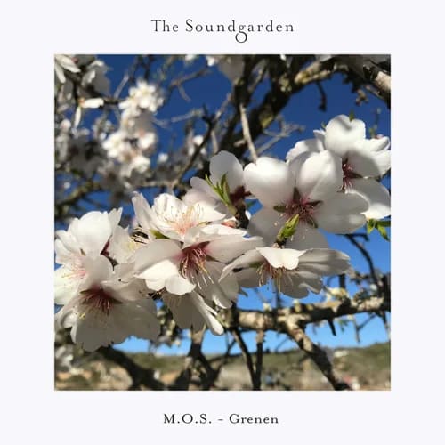 M.O.S. - Who Am I (Original Mix) [The Soundgarden]