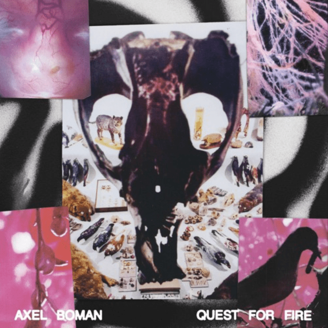 Axel Boman Quest For Fire
