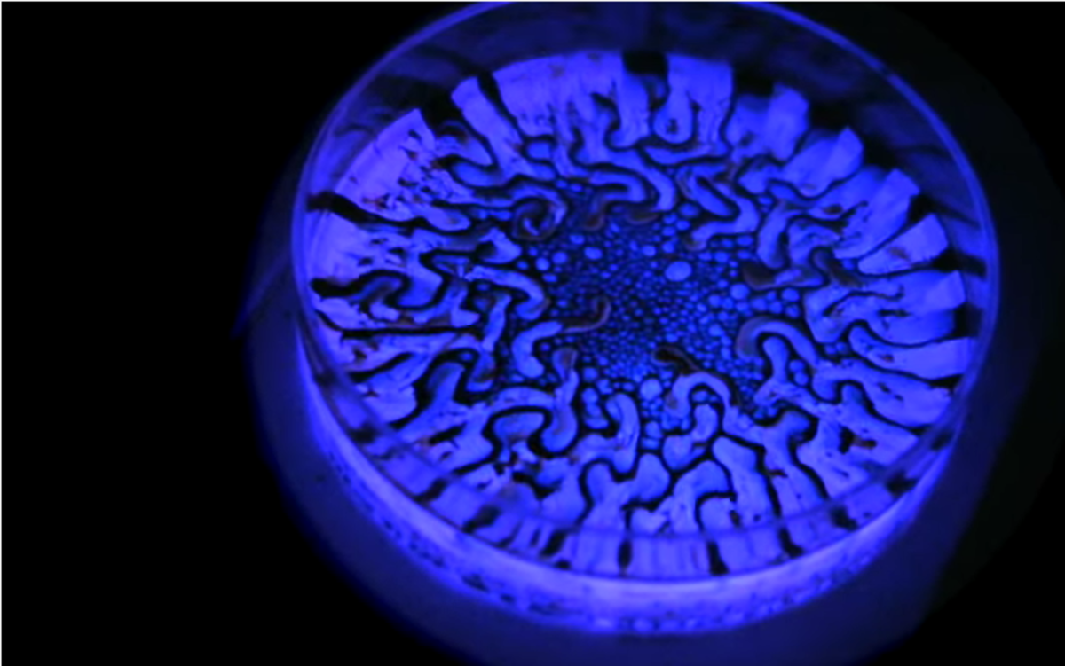 Ferrofluids Glow