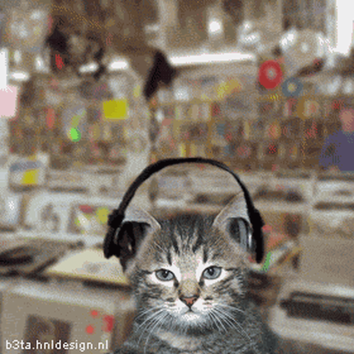Go DJ Kitty Go: 30 Ridiculously Animated Cat Gifs and Stuff - Magnetic  Magazine