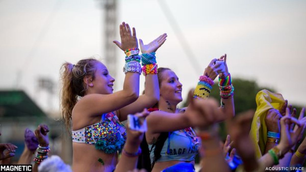 EDM News: Event Recap- Electric Zoo Brings Back the Animals to NYC