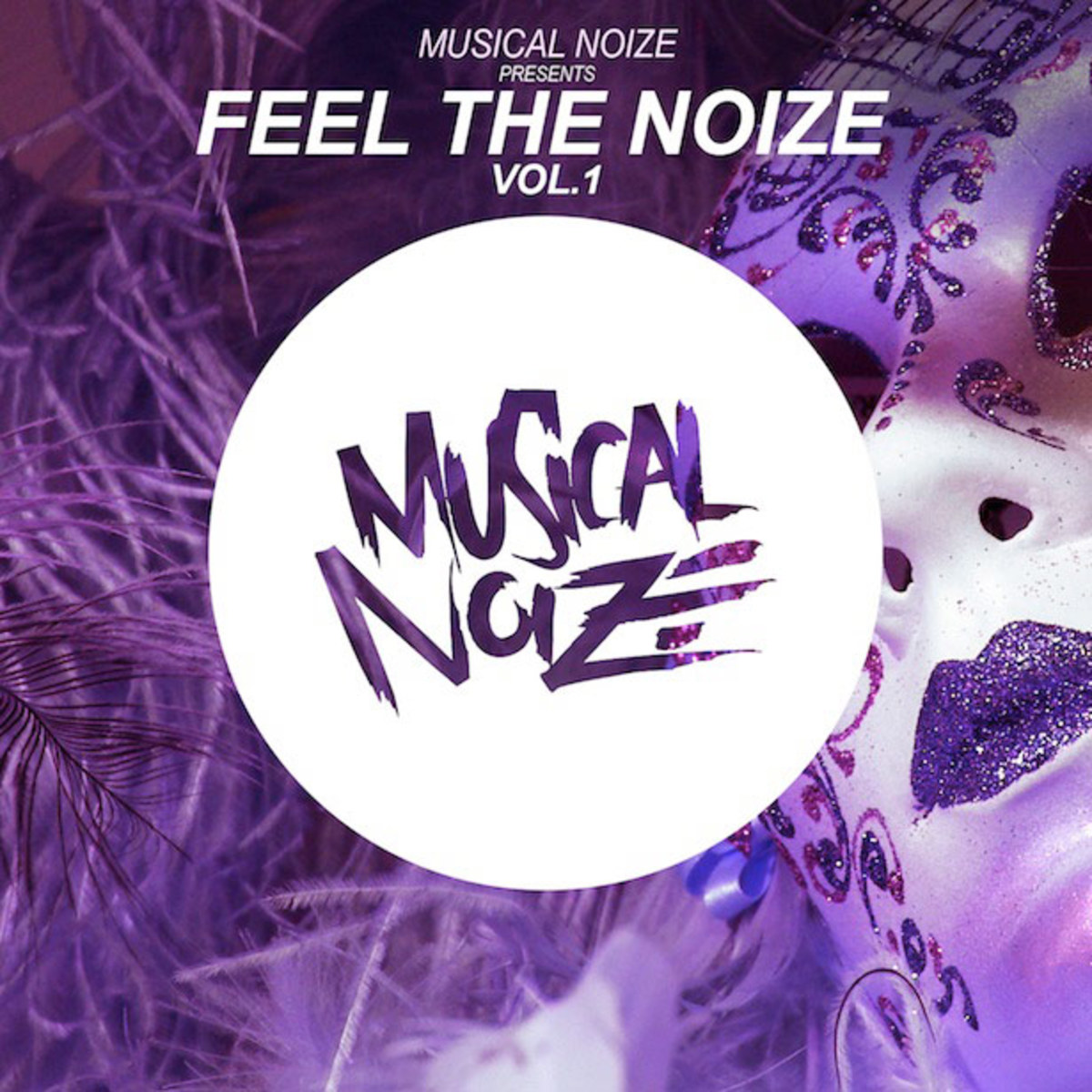 Label Spotlight: Musical Noize To Release 'Feel The Noize Vol. 1' Compilation Dec. 30 - New Electronic Music