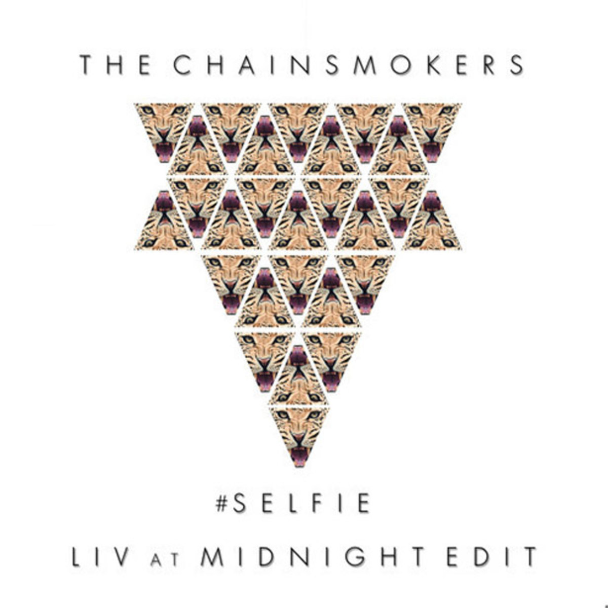 The Chainsmokers Share A "#Selfie" As An EDM Download In Honor Of Their 11/22 Show At LIV Miami