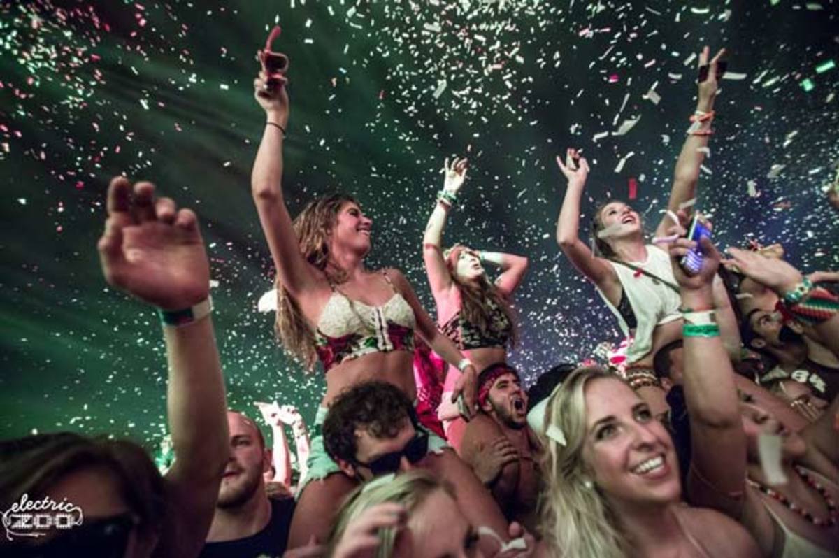 Electric Zoo 2014 Will Have Stricter Security