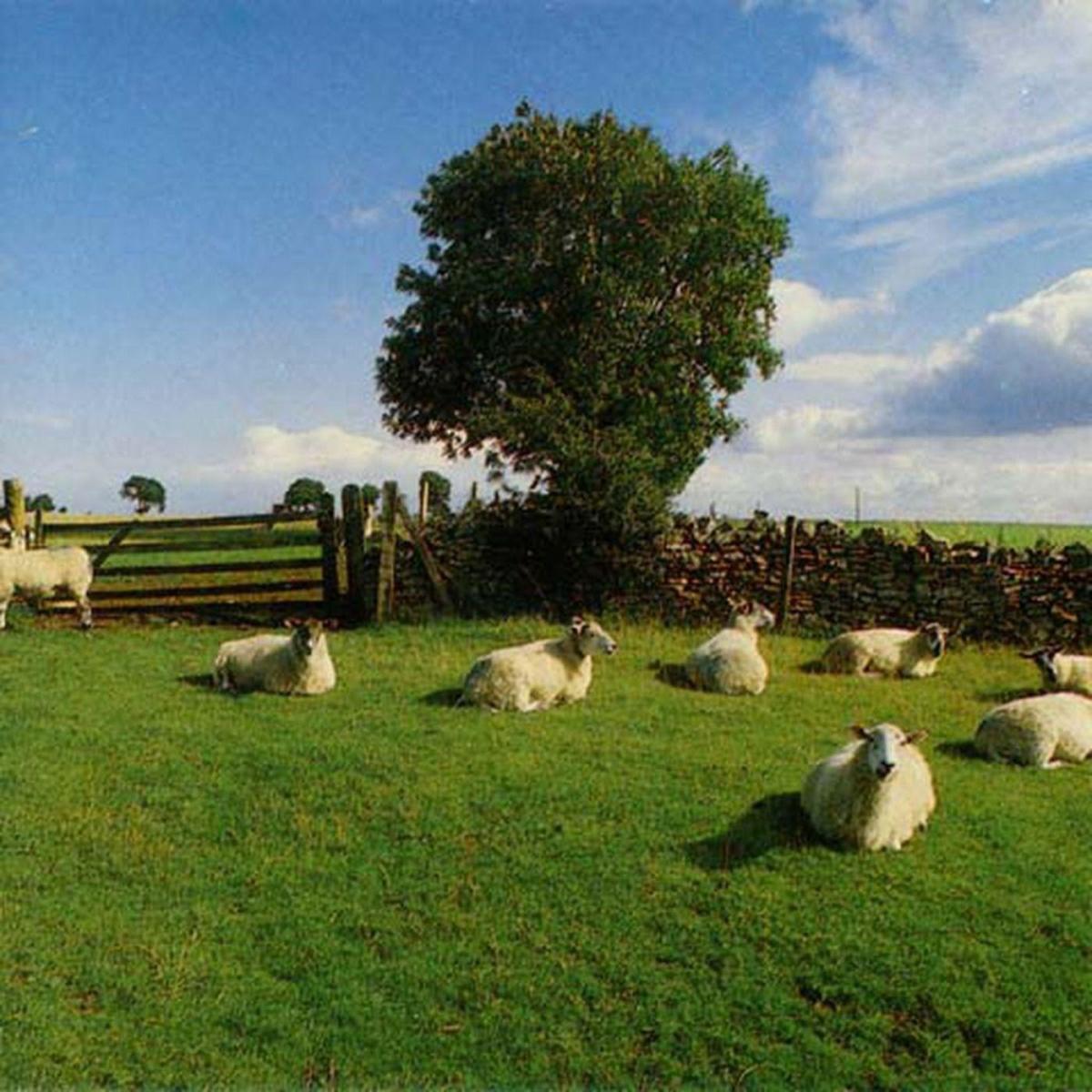 The KLF chill out