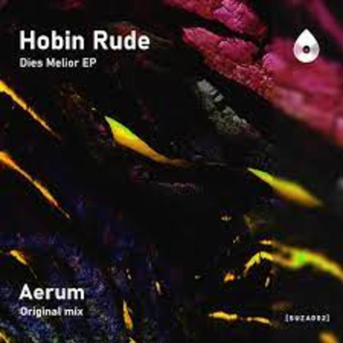 "AERUM (ORIGINAL MIX)" - HOBIN RUDE [SUZA RECORDS]