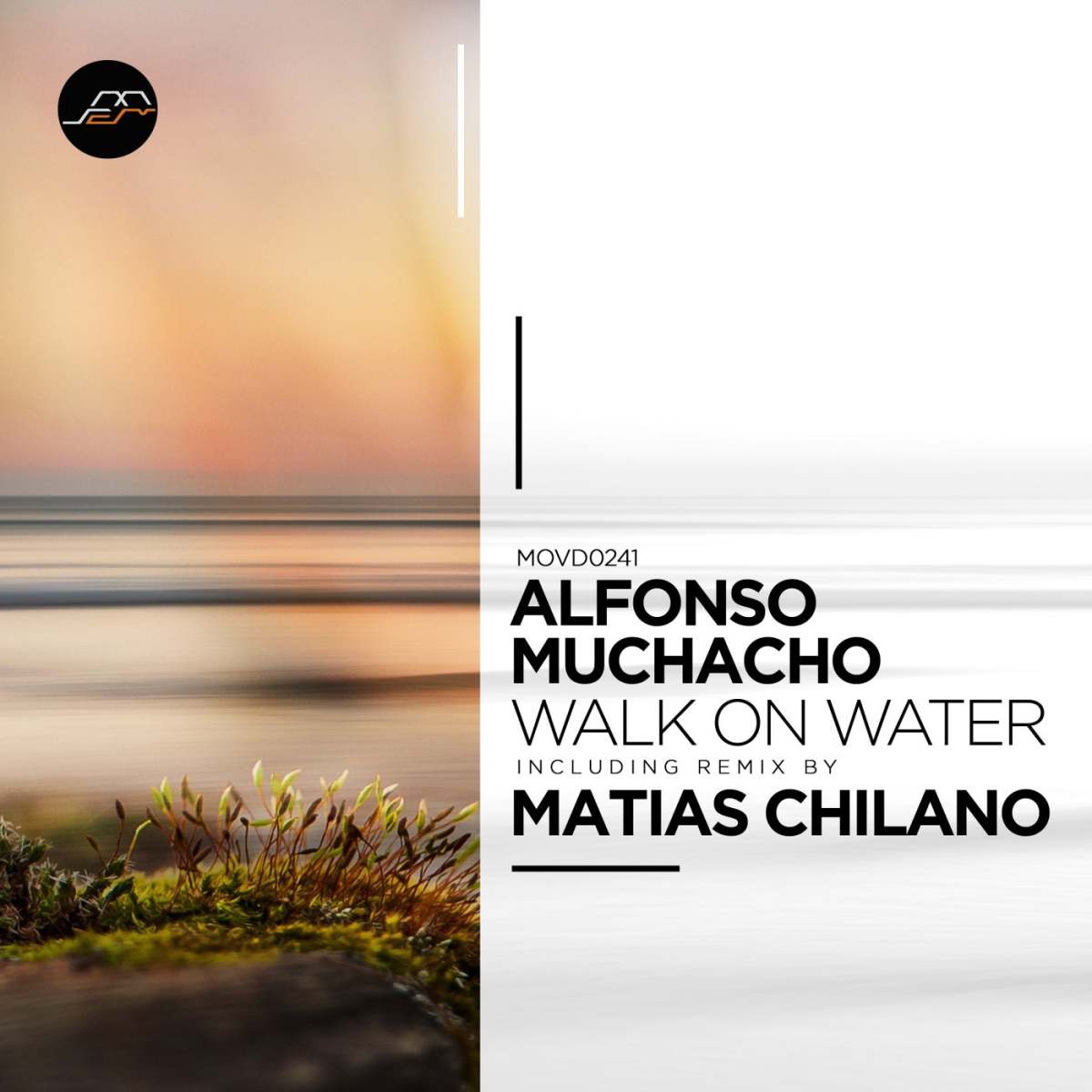 Alfonso Muchacho - Walk On Water [Movement Recordings]