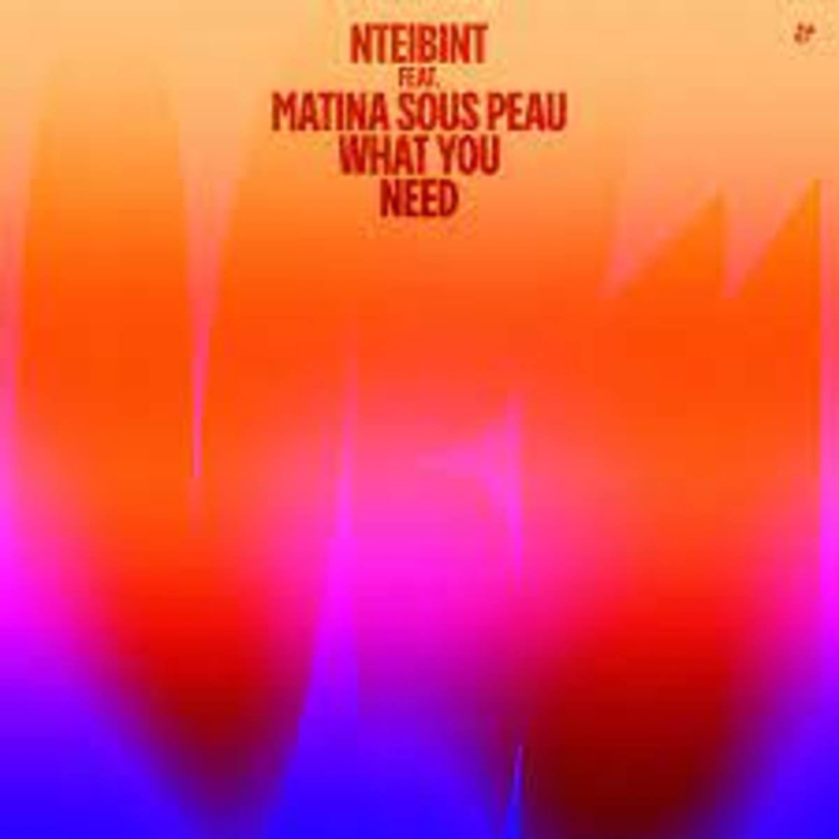 NTEIBINT - What You Need feat. Matina Sous Peau