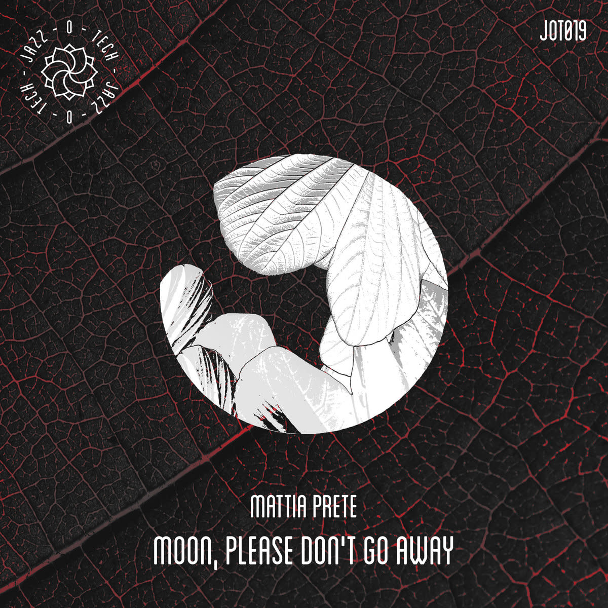 Mattia Prete - Moon, Please Don't Go Away [Jazz-O-Tech]