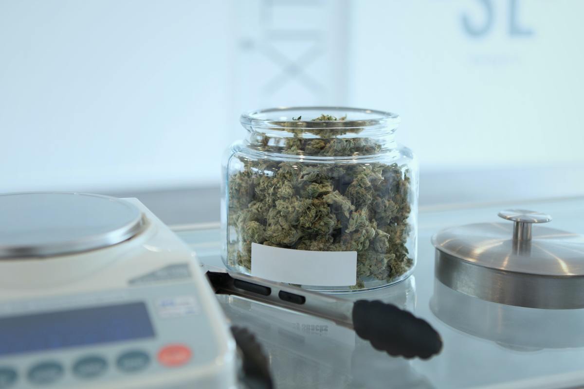 A Zip Of Weed: What The Heck Is It And How Much Does It Cost? - Magnetic  Magazine